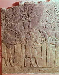 Beleiringen av Alammu av hæren til Sanherib (704-681 f.Kr.) detalj fra et panel fra Sørvest-palasset i Nineve, ca. 700 f.Kr. (gips) (se også 85705)