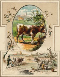 Kua. Gravering i "Mon premier Grand Alphabet". Bernardin-Bechet Edition, Paris, ca 1890. Illustrasjoner av A. des Lilleuls. Ingen side, 46 sider. Mål: 31x22 cm.