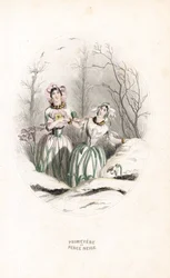 Avgiftene gjennomborer snø og primer i et snødekt landskap - Eau forte av Charles Geoffroy (1819-1882), basert på en illustrasjon av Jean Ignace Isidore Gérard dit JJJGranville (1803-1847), for Les fleurs animées