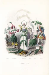 Blomsteravgiftene, olivenblomsten, som sover i en bomullslue, nattskjønnheten, den udødelige med krone og slangeaureole, myrten i en gammel mann, tobakksrøykingen i sigaren og laurbæren i en gammel musketer - Eau forte av Charles Geoffroy (181