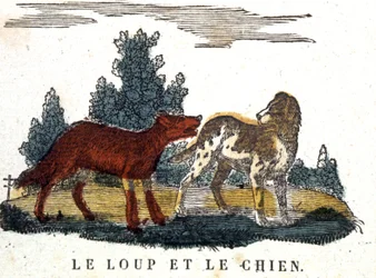 Ulven og hunden, La Fontaines fortelling, tidlig på 1800-tallet (gravering)