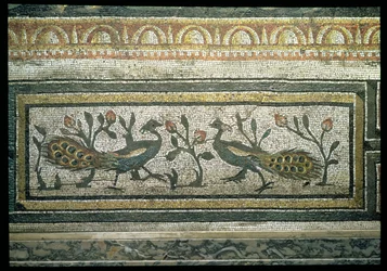 To påfugler, detalj av en dekorativ bord fra et mosaikkgulv som viser årstidene og jaktscener, fra den konstantinske villaen i Daphne, romersk, ca. 325-330 e.Kr. (mosaikk av marmor, kalkstein og glass) (detalj av 105665)