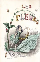En blomsterfe står på et blad og holder et bånd (tittelside) - Etsning av Charles Geoffroy (1819-1882), fra en illustrasjon av Jean Ignace Isidore Gerard kjent som JJJGranville (1803-1847), for Les fleurs animees