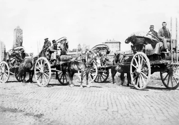 Storbritannia: Vinvogner på en vingård. Frankrike, ca 1890