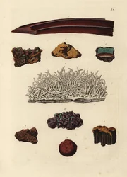 Varianter av jernmalm. Håndfarget kobberstikk av etter en illustrasjon av fra Georg Wolfgang Knorrs Deliciae Naturae Selectae av Kabinet van Zeldzaamheden der Natuur, Blusse and Son, Nürnberg