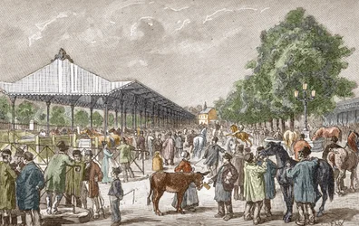 Utsikt over hestemarkedet i Paris#39; 5. arrondissement. Gravering av «En turists stadier i Frankrike: Paris, turer i de 20 arrondissementene» av Alexis Martin.