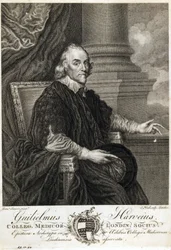 William Harvey, engelsk lege