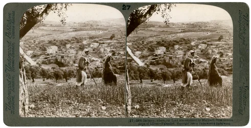 Betania, sett fra den østlige skråningen av Oljeberget, Palestina, 1899.