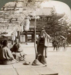 Hengende klynger av blåregn over en tehusveranda, Kyoto, Japan, 1904