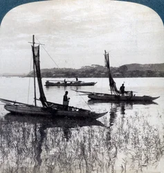 Fiskebåter som kommer hjem ved solnedgang, nær Yokohama, Japan, 1904.