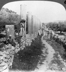 Herods gate med søyler, Samaria, Palestina, Israel, 1905.