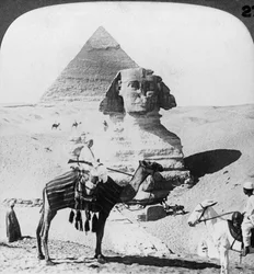 Den store sfinksen i Giza, Egypt, 1905.