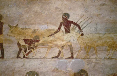 Prosesjon med storfe og gaseller, detalj fra et gravmaleri, egyptisk, Gamle til Midtrike (malt kalkstein)