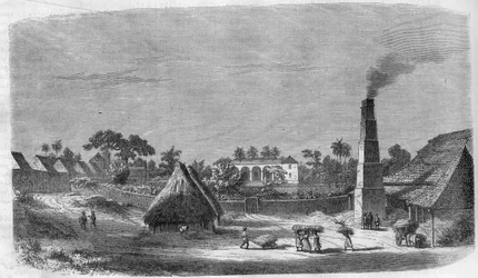 En godterifabrikk på øya Cuba i 1869.