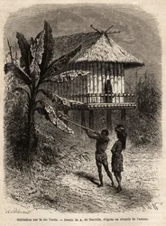 Et par indianere fra Rio Verde (Brasil) mannen med sin sarbacan, foran et typisk hus på stylter. Gravering for å illustrere reisen til New Granada, av Dr. Saffray, i 1869, publisert i "" Le tour du monde""" 1873, redigert av Edouard Charton, e