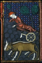 En bonde hviler, ved siden av ham okser og en miniatyrplog fra 1300-tallet.