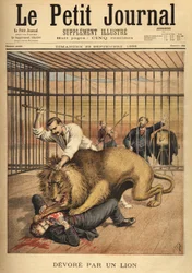 En ung mann som ønsker å bli fotografert i buret til en løve, blir fortært, til tross for temmerens anstrengelser for å holde løven. Gravering i "" Le petit journal"" 29.09.1895. Selvas samling.