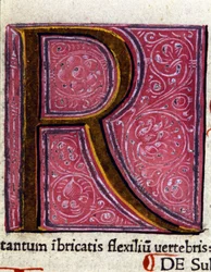 Alfabet: miniatyr bokstav R