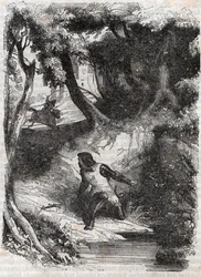 Astolphe på kanten av en fontene - gravering av 1851 fra "" Furious Roland"" (Orlando furioso) (1500-tallet) av Ludovico Ariosto, kjent som Ariosta - utgave oversatt fra italiensk av greven av Tressan og utgitt av Gustave Harvard 1851