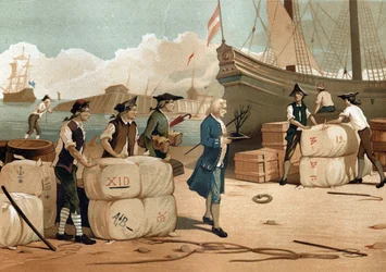 Bernard de Jussieu (1699-1777), fransk botaniker, etter å ha brakt tilbake sedertrefoten fra England i 1734.