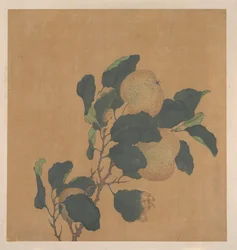 Gren av tre med frukt (albumblad; blekk og farge på silke)
