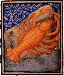 Kreft. Miniatyr av et horoskop. 1400-talls manuskript. Bibl. Trivulziana, Milano.