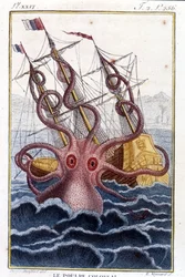 Kolossal blekksprut (blekksprut, kjempeblekksprut, kraken) som angriper et skip - gravering fra boken av Pierre Denys-Montfort (Denys de Montfort 1766-1820) «Histoire naturelle des mollusques», originalutgave fra 1802