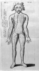 De Acupunctura av W.Ten Rhijn. London 1683. Første vestlige tekst som omhandler akupunktur.