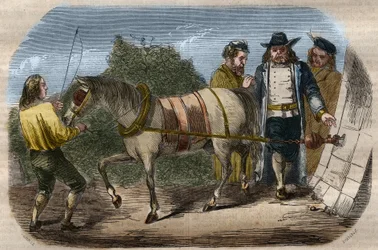 Erfaring med Otto von Guericke (Otto de Guericke