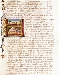 Bønder som planter vingårder (miniatyr