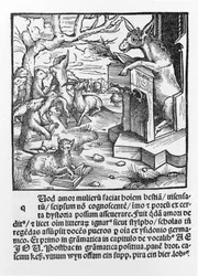 Tysk incunabel som viser et esel som underviser en klasse med skogsdyr. 1490.