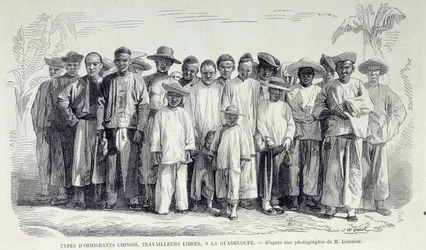 Historien om de franske koloniene: Kinesiske immigranter som jobber i Guadeloupe. Tegning etter fotografi av Chartres musee des Beaux Arts på slutten av 1800-tallet