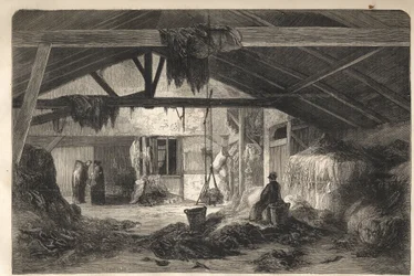Bolig til en fillehandler i rue de la Montagne Sainte Genevieve i Paris i 5. arrondissement. gravering fra 1861