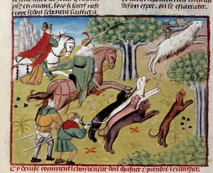 Hvordan jakte miniatyrhjortene fra "The book of hunting"" av Gaston III Phoebus, greve av Foix, Lord of Bearn (1331-1391)