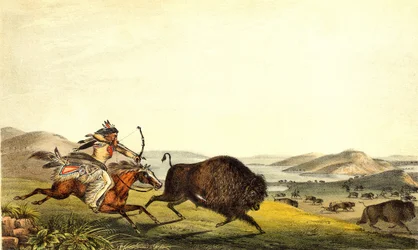Jakt på bison i Nord-Amerika. sd. 1800-tallet.
