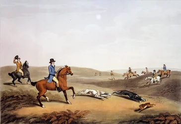 Jaktscene i England. 1800-talls gravering. Gien, jaktmuseum