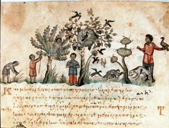 Jaktscene med hauker og samling av frukt Miniatyr tatt fra jaktmelkingen "" The Cynegetics"" av Oppian (Oppian eller Oppianus) fra Syria (3. århundre e.Kr.) dedikert til Caracalla. Venezia fra 1000-tallet. Biblioteca Marciana