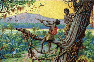 Hunting technique. Hunting hummingbirds in the Polynesian archipelago: the inhabitants use bites. Chromolithography of the 19th century.
