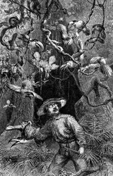 Illustrasjon «Naturforskeren ved Amazonas-elven» av Henry Walter Bates (gravering)