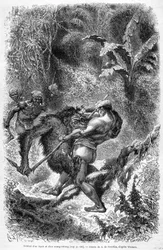 Illustrasjon publisert i 1862-utgaven av "Le Tour du monde" som viser en kamp mellom en dayak og en orang-outang (orang-utang, orang-outang, orang-utang) på øya Borneo. Gravering.