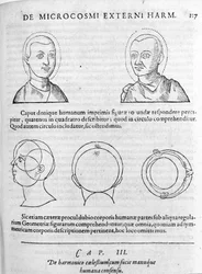 Bilde av fysiognomi fra "Collectio Operum" av Robert Fludd (Robertus de Waves). London 1617