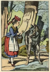Little Red Riding Hood meets the wolf in the forest. Illustration of the tale “The Little Red Riding Hood” by Charles Perrault