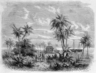 Livingstone