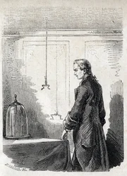 Luigi Galvani causes frog contractions by lightning rod electricite - LUIGI GALVANI (1737-1798) Italian physician and physicist. Causes Contractions in a Frog with Electricity from a Thundercloud