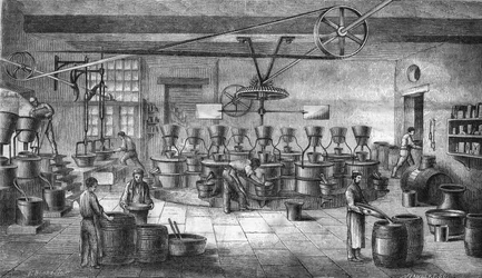 Manufacture of mustard and canned food at Louit freres in bordeaux. Engraving from 1865.