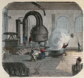Produksjon av sukker i en fabrikk. 1800-talls illustrasjon. Bianchetti samling