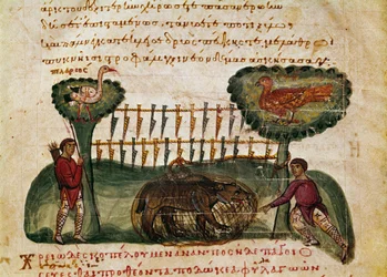 Miniatyr bjørnejaktscene fra jakten ""The Cynegetics"" av Oppian (Oppian eller Oppianus) fra Syria (3. århundre e.Kr.) dedikert til Caracalla. Venezia fra 1000-tallet. Biblioteca Marciana