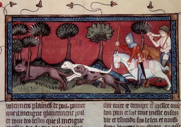 Miniatyrrevejakt fra manuskript fr. 1297 "" bok av King Modus og Queen Ratio" av Henri de Ferrieres (1300-tallet)