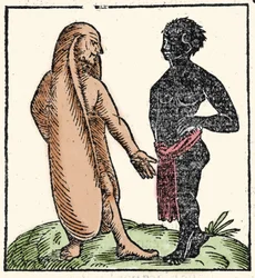 Uhyrlige skapninger: to afrikanske menn, en av dem med lange ører for å beskytte seg mot solen og kulden. Når en situasjon skremmer dem, lar ørene dem fly bort. Symbolsk lar de dem lytte bedre til Guds ord. Xylogr