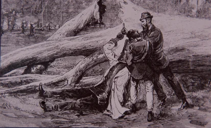 Ned Kelly tatt til fange av politikonstabel Kelly og jernbanemann Jesse Dowsett, 28. juni 1880 (gravering)